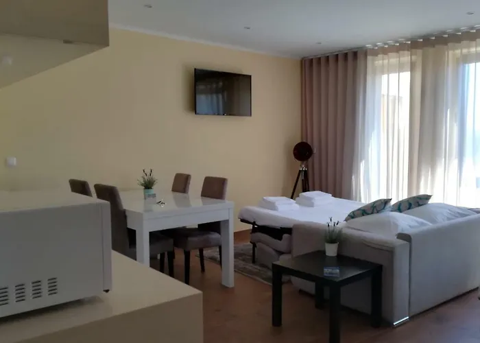 公寓 Downtown Flats