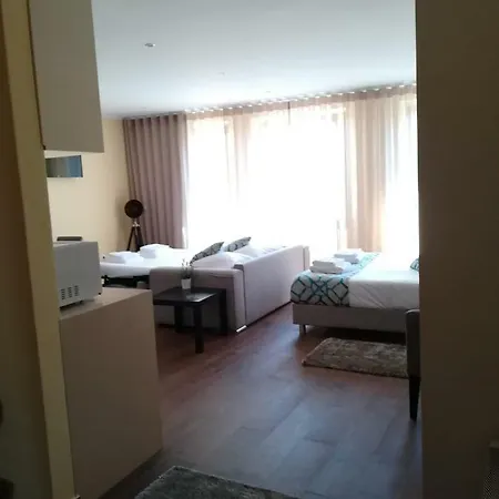 Apartament Downtown Flats *